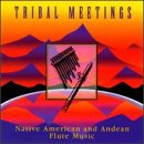 Tribal Meetings