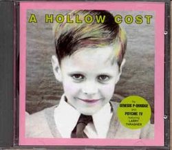 A Hollow Cost [Visionary]