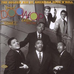 Golden Age of American Rock N Roll 2: Special Doo