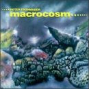 Macrocosm