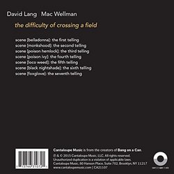 David Lang & Mac Wellman: the difficulty of crossing a field