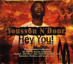 Hey You! The Essential Collection