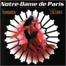 Notre Dame De Paris (1998 Paris Cast)