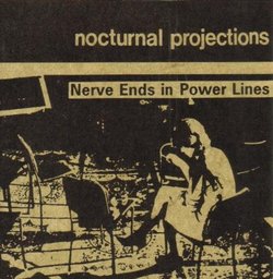 Nerve Ends in Power Lines