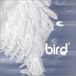 Bird 3