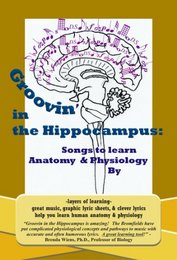 Groovin' in the Hippocampus
