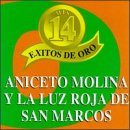 Mis 14 Exitos Oro