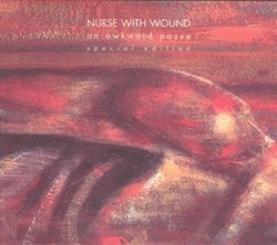 An Awkward Pause by Nurse With Wound