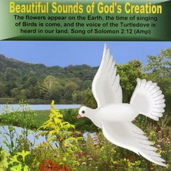 Beautiful Sounds of God's Creation