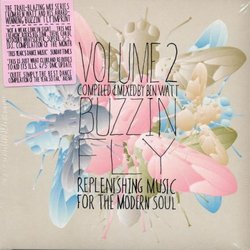 Buzzin Fly 2 Mixed By Ben Watt