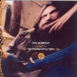 This Magnificent Distance By Chris Robinson (2005-02-07)