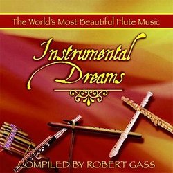 Instrumental Dreams