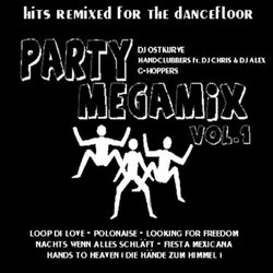 Party Megamix 1