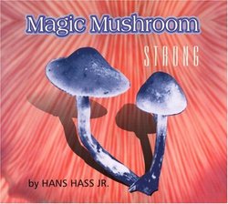 Magic Mushroom - Strong