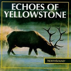 Echoes of Yellowstone