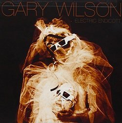 Electric Endicott by Gary Wilson (2011-02-22)