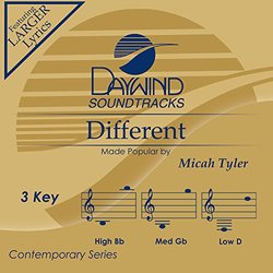 Different [Accompaniment/Performance Track]