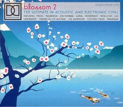 Blossom V.2 - the Ultimate in Acoustic & Electronic Chill