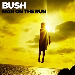 Man on the Run (Deluxe)