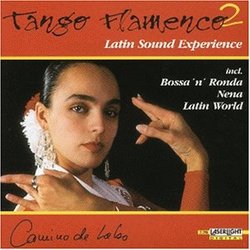 Young Flamenco V.2