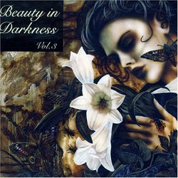 Beauty in Darkness 3