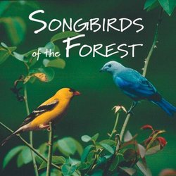 Songbirds of the Forest