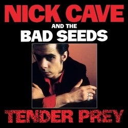 Tender Prey (CD/DVD)