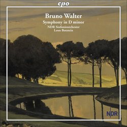 Walter: Symphony in D minor