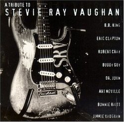 Tribute to Stevie Ray Vaughan