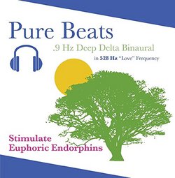 Pure Beats 528 Hz Binaural Beat .9 Hz Deep Delta - Stimulate Euphoric Endorphins in Brain - NO MUSIC ADDED