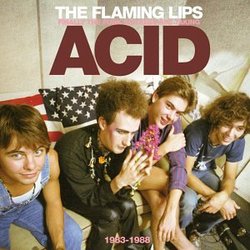 Finally the Punk Rockers Are Taking Acid 1983-1988