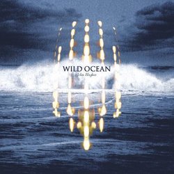 Wild Ocean