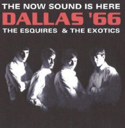 The Now Sound Is Here: Dallas '66