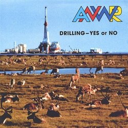 Drilling - Yes or No