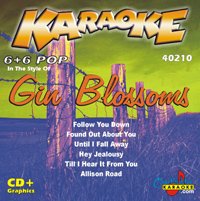 Karaoke: Gin Blossoms