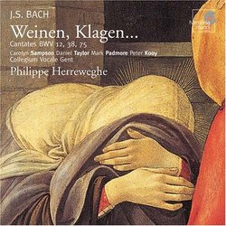 Bach: Weinen, Klagen - Cantates, BWV 12, 38, 75