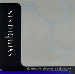 Clandestine Electronic Subculture