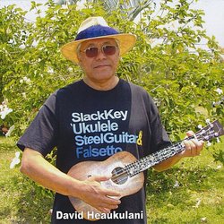 Slack Key 'ukulele