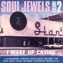 Soul Jewels 2: No More Ghettos in America