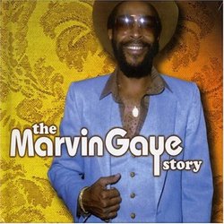 Marvin Gaye Story