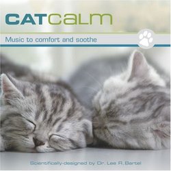 CatCalm