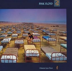 Momentary Lapse of Reason