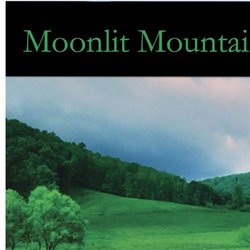 Moonlit Mountain Road