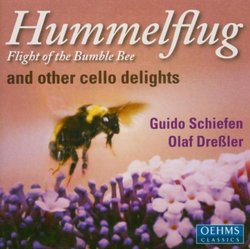 Hummelflug Flights of the Bumble-Bee