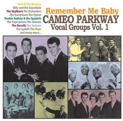 Remember Me Baby - The Cameo Parkway Vocal Groups