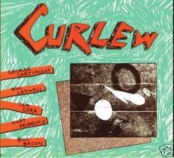 Curlew: 1st Album + Live At CBGB 1980