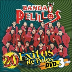 20 Exitos de Pelos