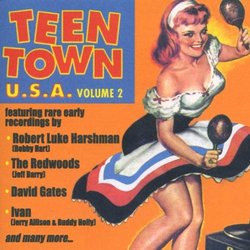 Vol. 2-Teen Town USA