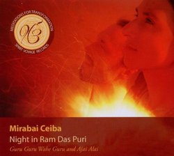 Night in Ram Das Puri (Dig)