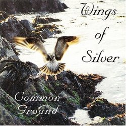 Wings of Silver